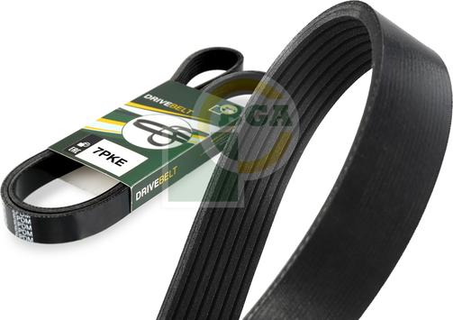 Wilmink Group WG2402715 - Klinasti rebrasti remen  www.molydon.hr