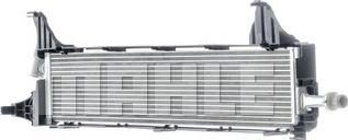 Wilmink Group WG2193162 - Hladnjak, hladjenje motora www.molydon.hr