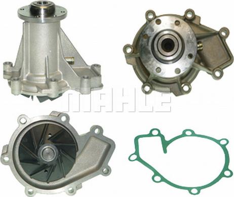 Wilmink Group WG2181396 - Vodena pumpa www.molydon.hr