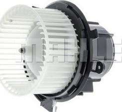 Wilmink Group WG2179754 - Ventilator kabine/unutrasnjeg prostora www.molydon.hr