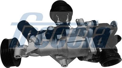 Wilmink Group WG2178084 - Vodena pumpa www.molydon.hr