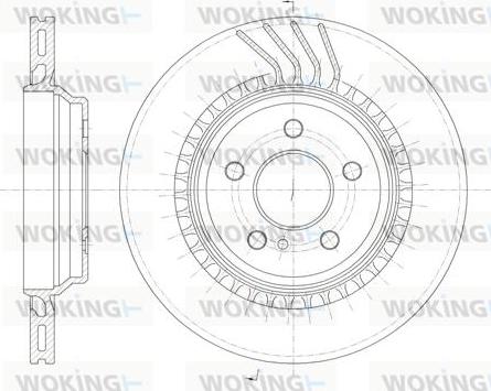 Woking D6963.10 - Kočioni disk www.molydon.hr