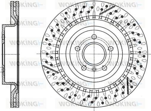 Protechnic PRD6309 - Kočioni disk www.molydon.hr