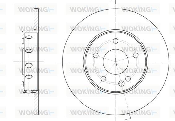 Woking D6310.00 - Kočioni disk www.molydon.hr