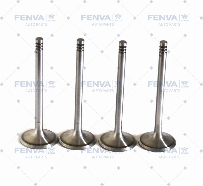 WXQP 110497 - Usisni ventil www.molydon.hr