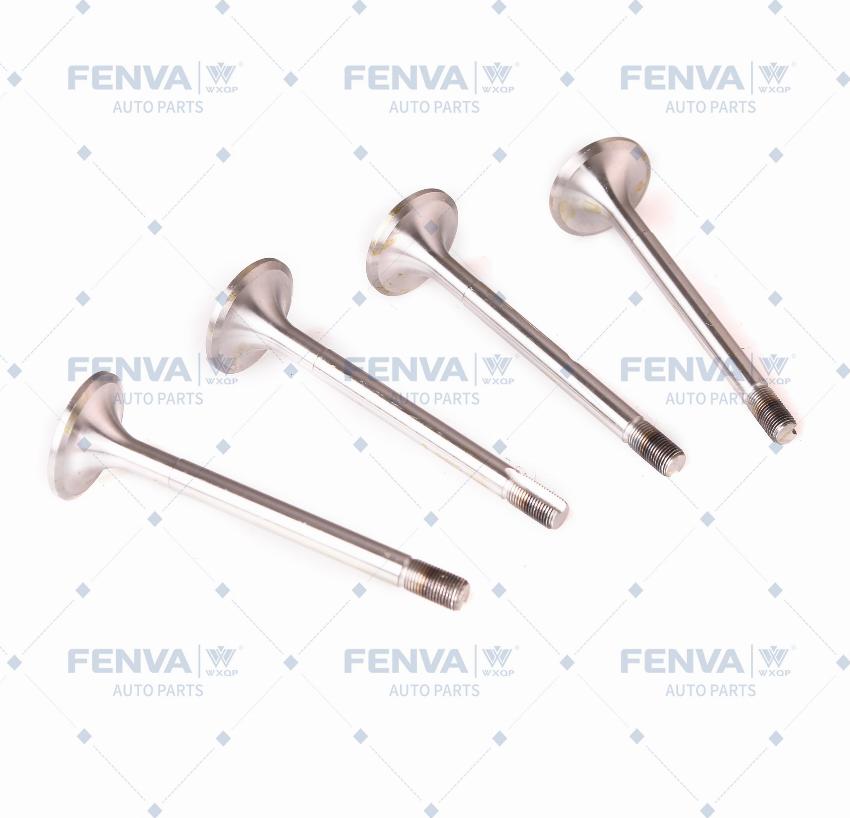 WXQP 110501 - Usisni ventil www.molydon.hr