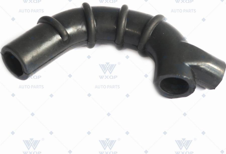 WXQP 113071 - Crijevo, odusak brtveniivke na poklopcu glave cilindra www.molydon.hr