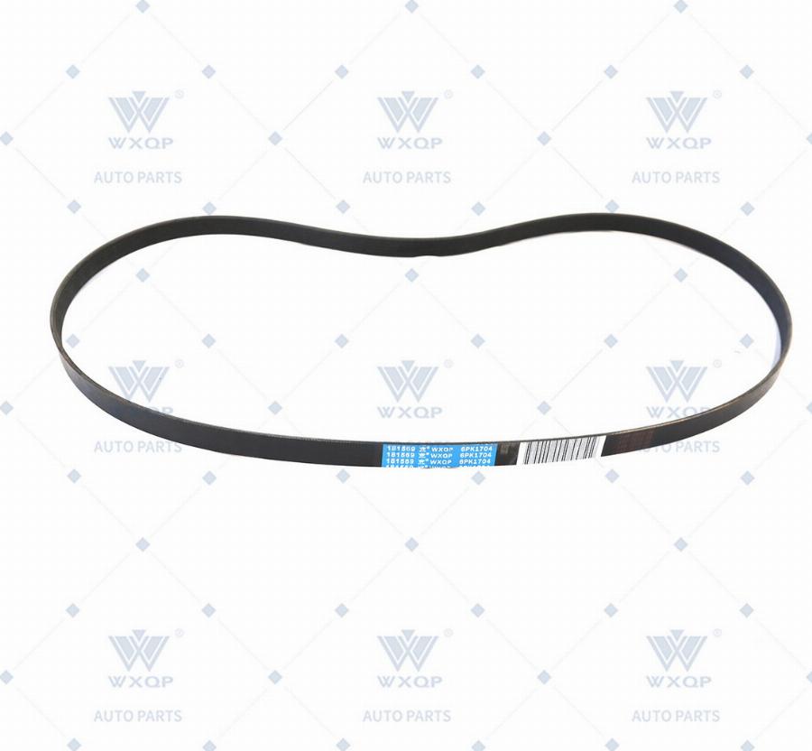 WXQP 181569 - Klinasti rebrasti remen  www.molydon.hr
