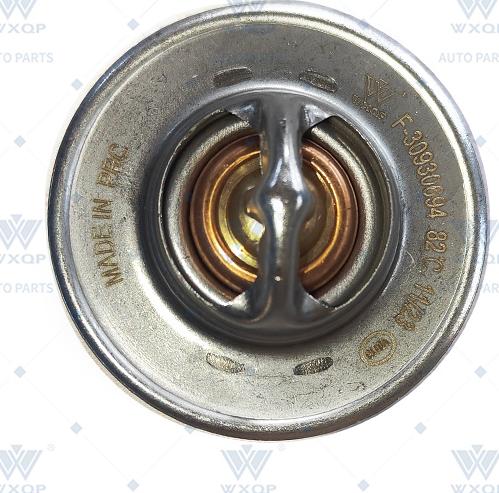 WXQP 310123 - Termostat, rashladna tekućinu www.molydon.hr
