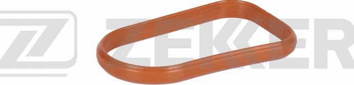 Zekkert DI-1005 - Brtva, usisna grana www.molydon.hr