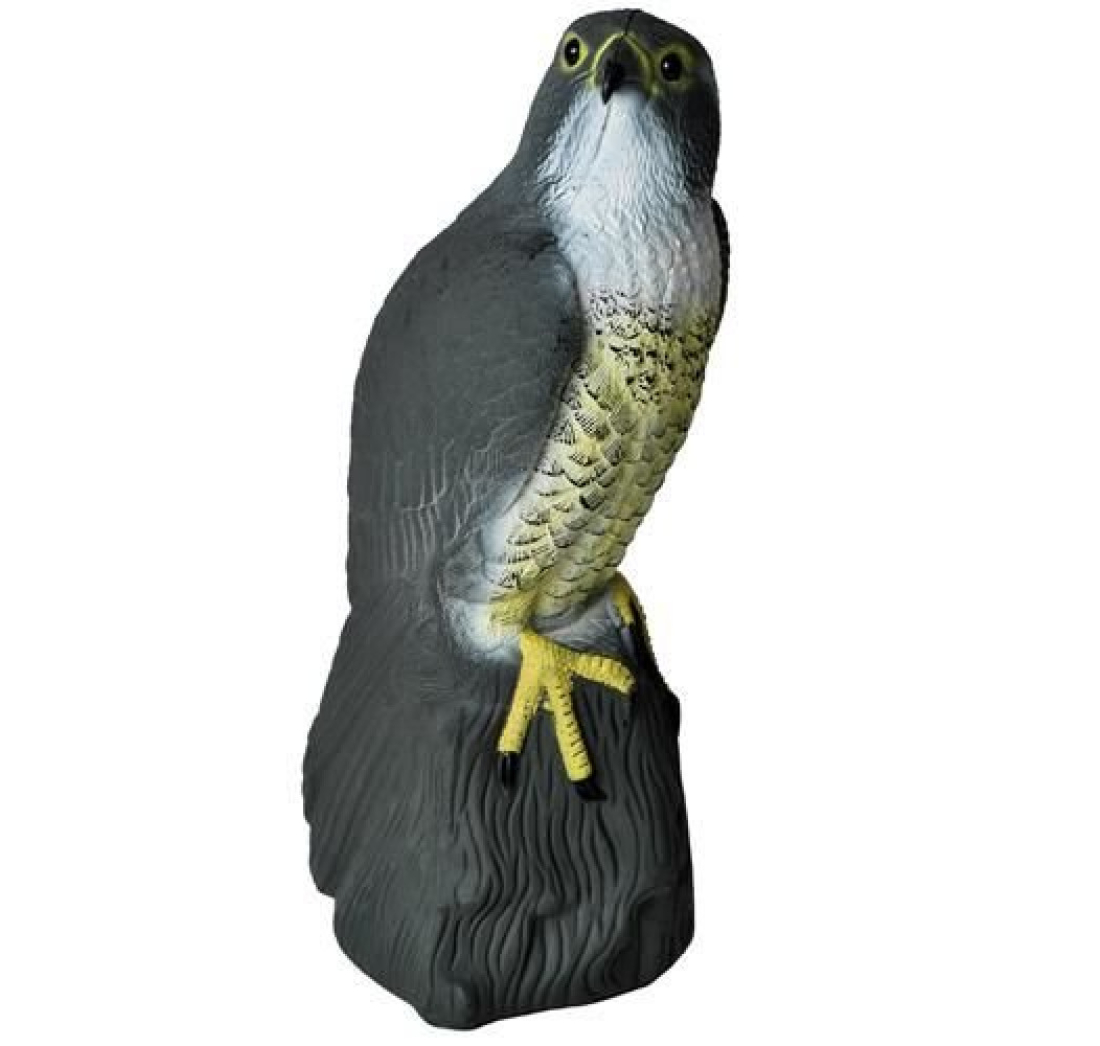 SOKOL ZA PLAŠENJE PTICA - STOJEĆI