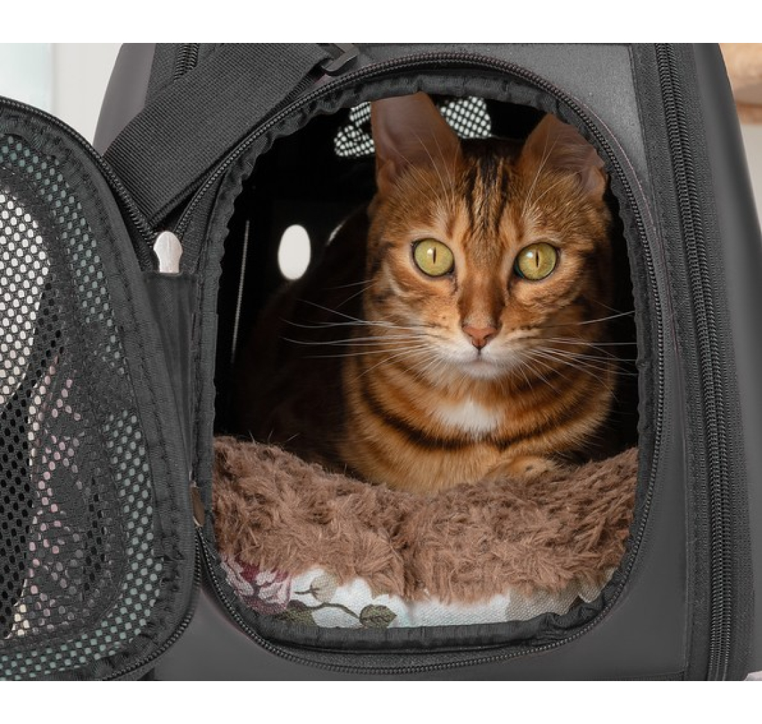 SKLOPIVA PUTNA TORBA ZA PSA ILI MAČKU