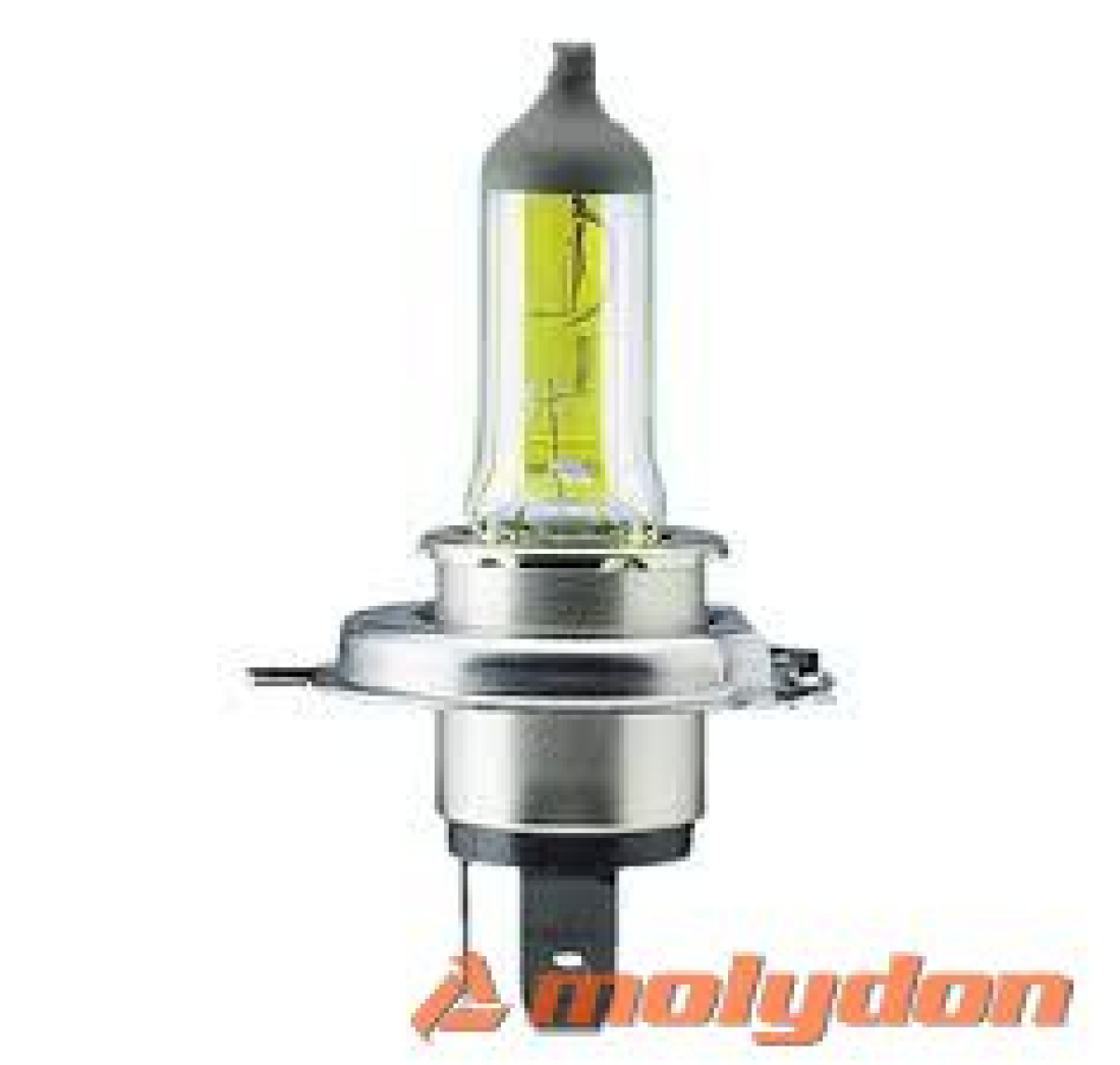 PHILIPS AUTO ŽARULJA H4 60/55W/12V ALL WEATHER