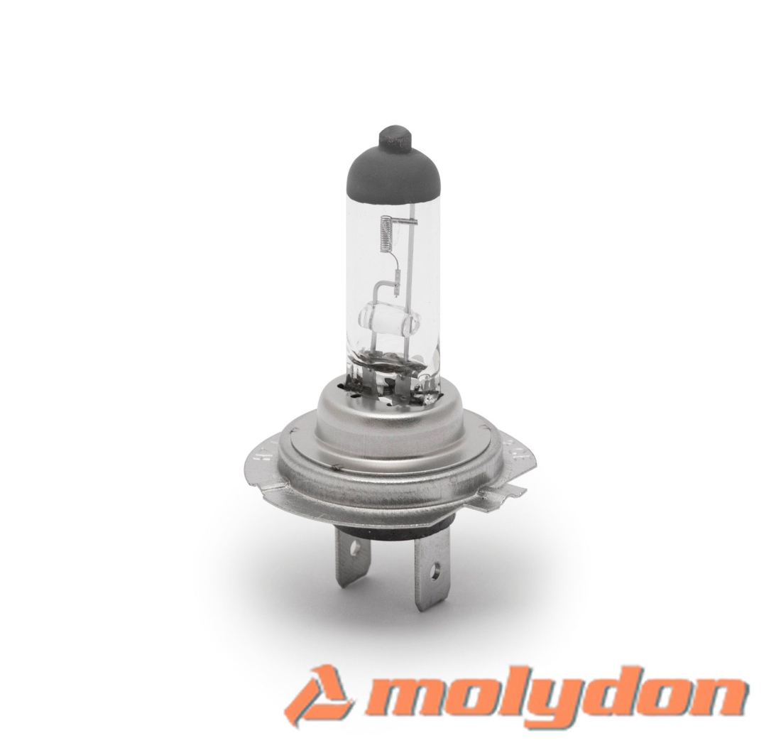 PHILIPS AUTO ŽARULJA H7 55W/12V ALL WEATHER