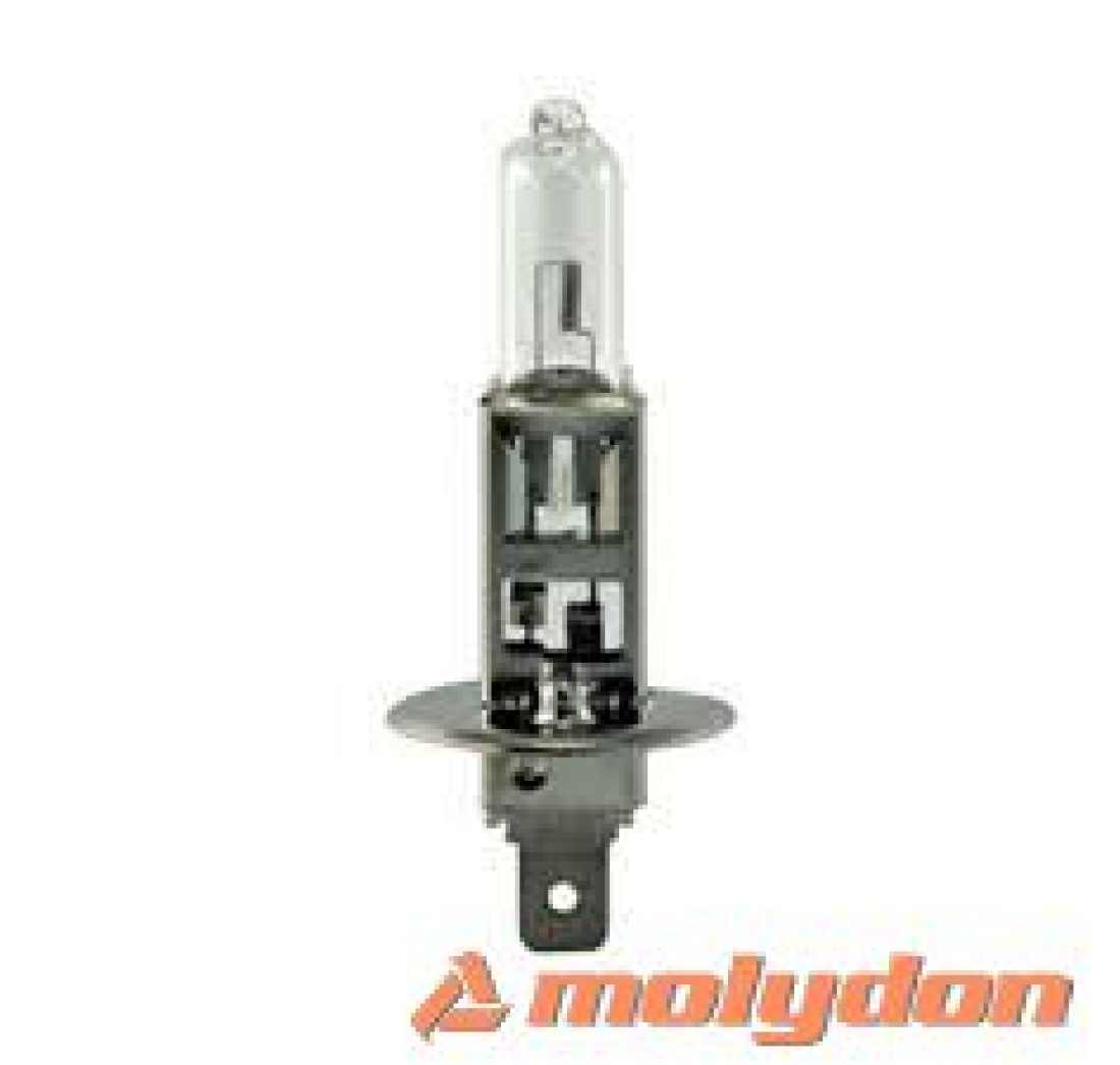 PHILIPS AUTO ŽARULJA H1 70W/24V HEAVY DUTY