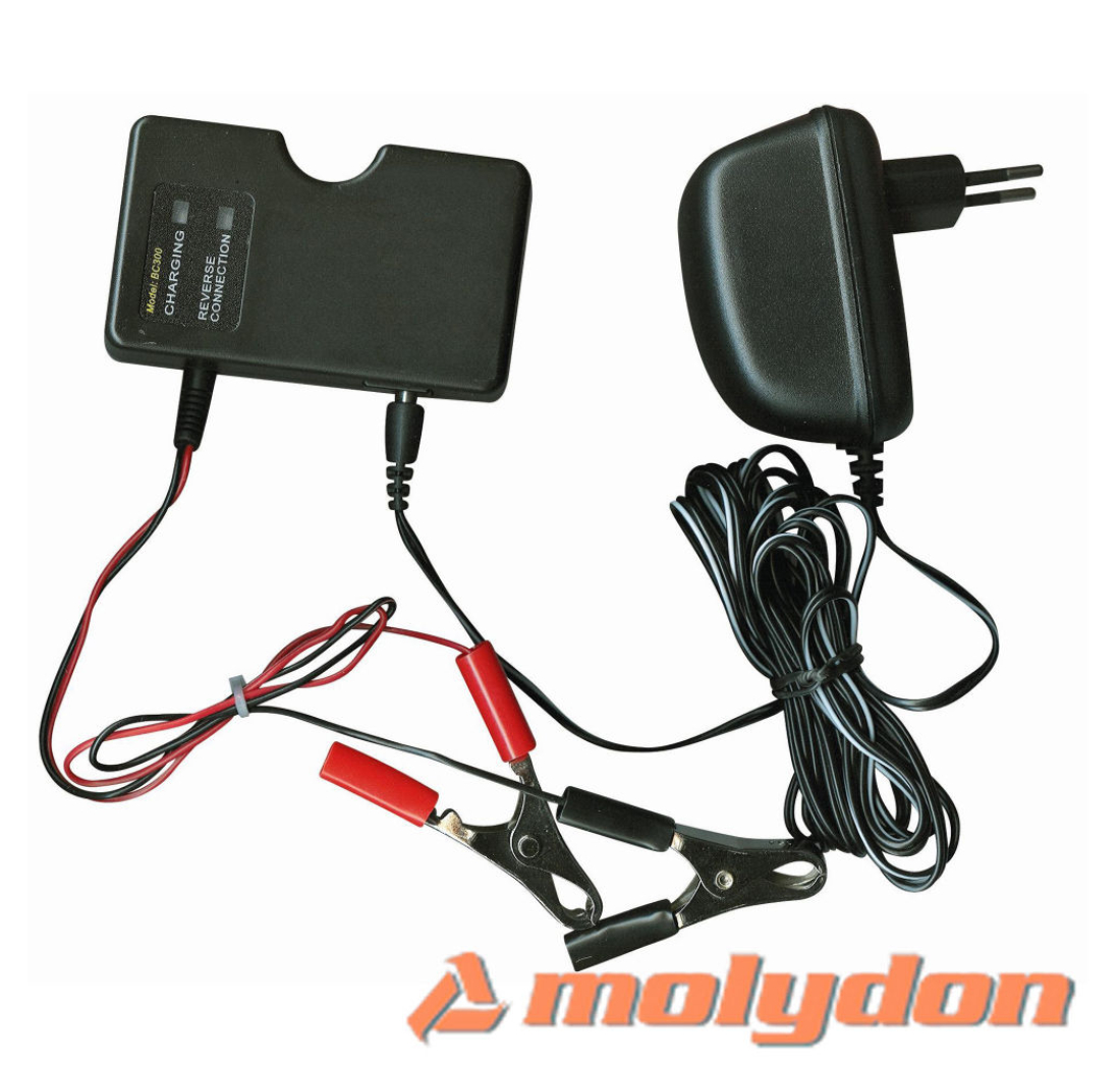 PUNJAČ AKUMULATORA (za održavanje napona)12V/10-250Ah