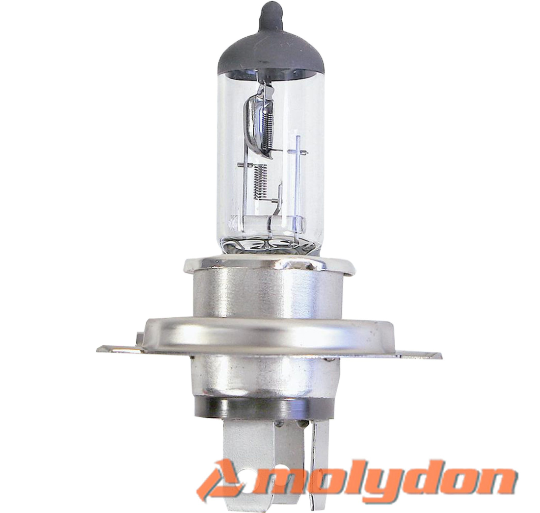 ALPIN H4 12V/100/80W RALLY