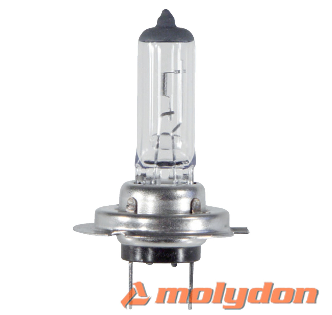 ALPIN H7 (12V/55W) PX 26d HALOGENA-OUTLET