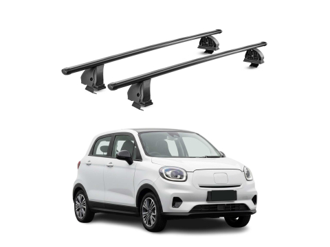 Krovni nosači LEAPMOTOR T03 2024- | čelik | Molydon